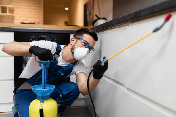 Best Exterminator Services  in Weston, WV